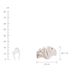 Deko-Objekt Blatt Höhe 21cm GINKGO In Creme -Butlers Geschäft butlers deko objekt blatt hohe 21cm ginkgo in creme 3