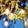 Outdoor-Lichterkette Mit 10 Glühbirnen Und Stecker BULB LIGHTS In Schwarz 2 Outdoor-Lichterkette Mit 10 Glühbirnen Und Stecker BULB LIGHTS In Schwarz -Butlers Geschäft butlers outdoor lichterkette mit 10 gluhbirnen und stecker bulb lights in schwarz