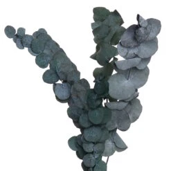 Trockenblumen Blumenstrauß FLOWER MARKET In Grün 4 Trockenblumen Blumenstrauß FLOWER MARKET In Grün -Butlers Geschäft butlers trockenblumen blumenstrauss flower market in grun 2