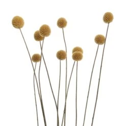 Trockenblumen Blumenstrauß FLOWER MARKET In Grün 5 Trockenblumen Blumenstrauß FLOWER MARKET In Grün -Butlers Geschäft butlers trockenblumen blumenstrauss flower market in grun 3