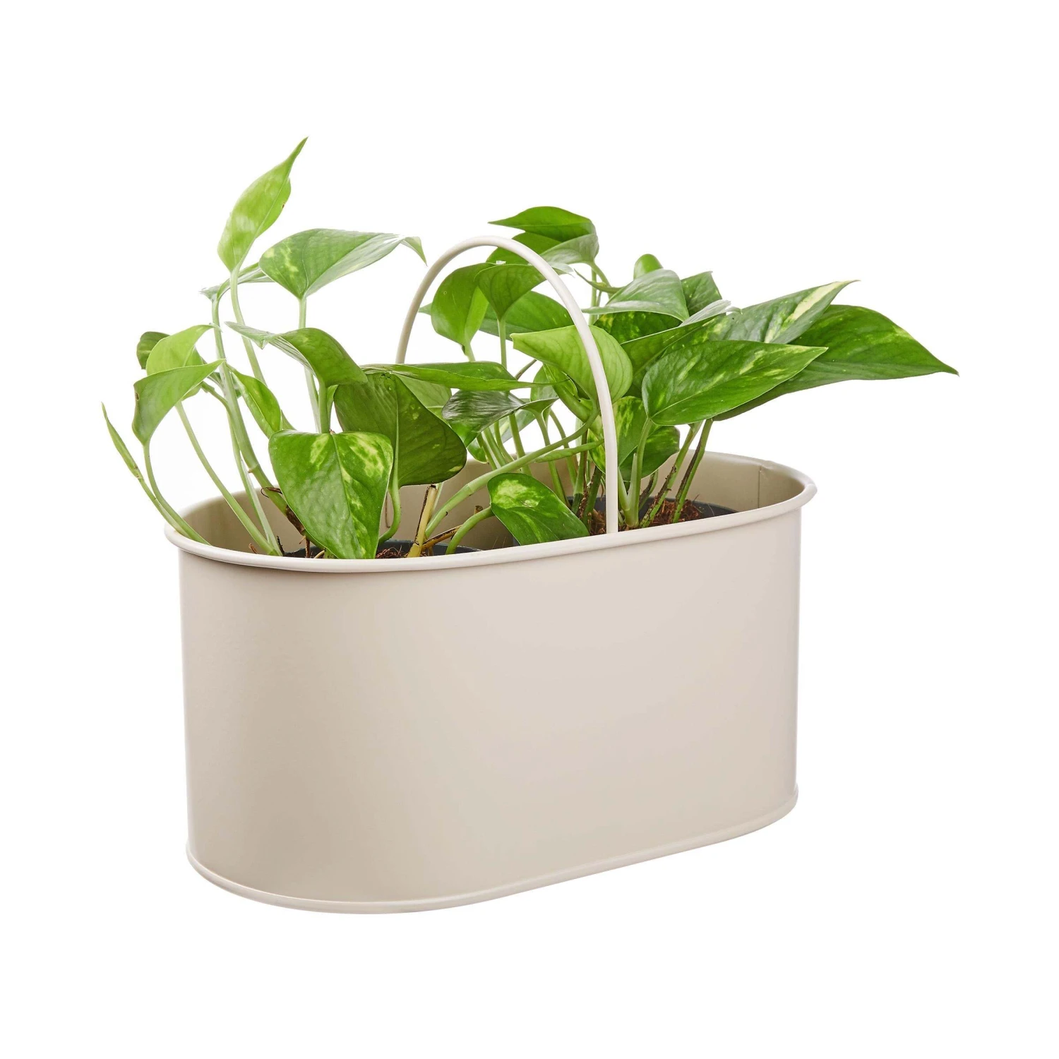 Universal-Box B 32 x T 19cm ZINC in Beige Universal-Box B 32 X T 19cm ZINC In Beige -Butlers Geschäft butlers universal box b 32 x t 19cm zinc in beige 1