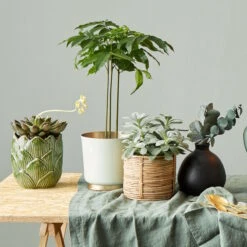 Vase Höhe 16cm MIO In Schwarz 9 Vase Höhe 16cm MIO In Schwarz -Butlers Geschäft butlers vase hohe 16cm mio in schwarz 7